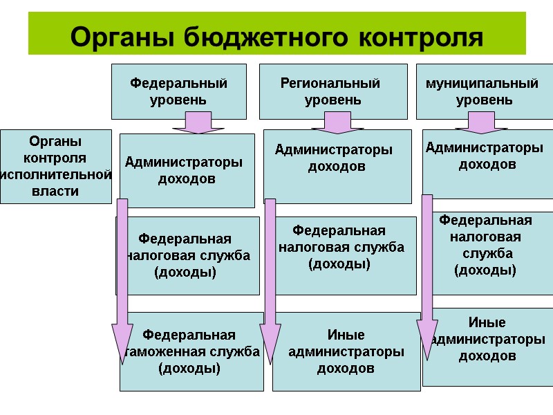 Органы бюджетного контроля  Федеральный уровень Региональный  уровень муниципальный  уровень Органы контроля